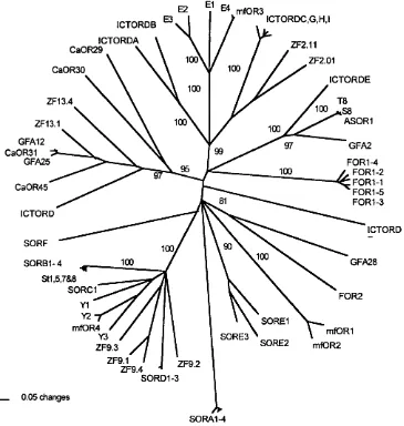 Figure 2.3.3. Bootstrapped Neighbour-Joining tree of all putatative olfactory receptorAll teleost putative OR sequences available in GenBank were used to construct thissequences from Teleost fish.ZR-10, 9, 6, 2, 13, T.obtained are indicated.ICTORDA-I:neigh