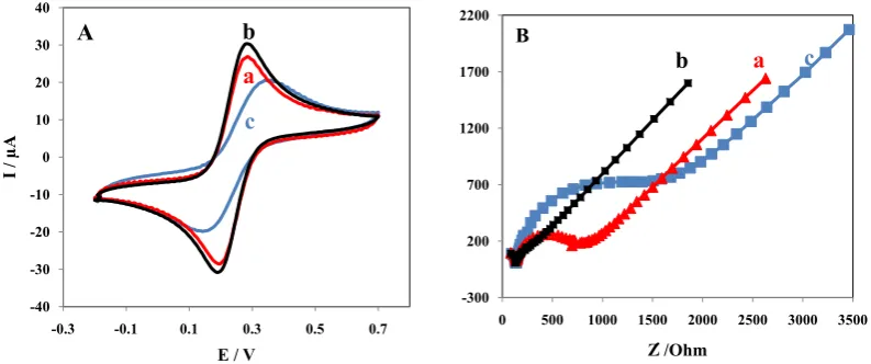 Fig. 2. (A) Cyclic voltammograms of 2.5 mM [Fe(CN) 