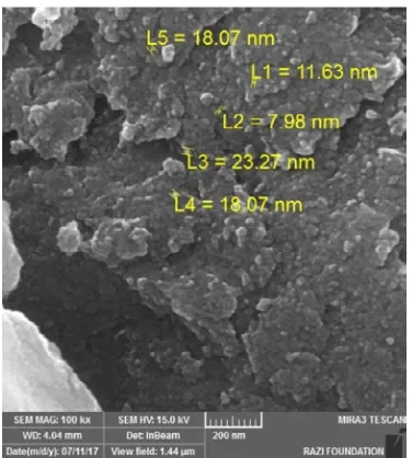 Fig. 2. SEM image of Cross-PAA-SO3H@nano-Fe3O4