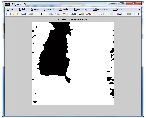 Fig 4. Thresholding Image 