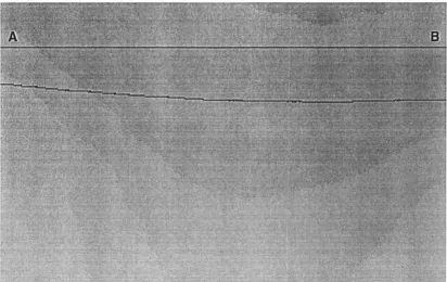 Figure 4.1-6 Background normalised image. 