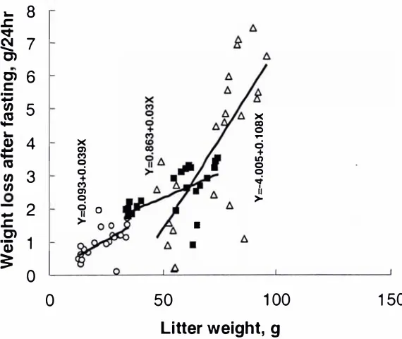 Table 3.3: Linear regressions of litter weight and weight loss of fasted litters. 