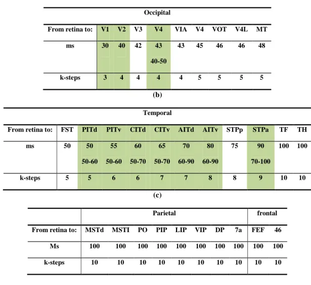 Table 1: Travel time from retina to different visual processing layers of our model (first row: in mili- mili-seconds,  second  row:  in  the  discrete  time  interval,  normalized  to  the  time  unit           )