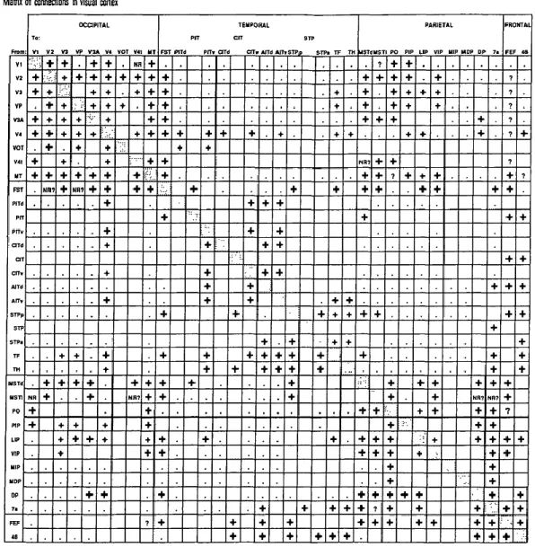 Table 2: this table is a connectivity matrix for interconnections between areas in the macaque visual cortex