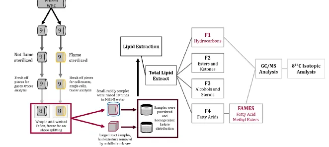 Figure 3.1 Sample processing steps. Schematic of core handling, sample processing, and lipid extraction procedures used offshore, at the Kochi Core Center, and during in-house extraction and separation procedures