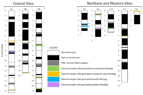 Figure 4.1 Core visualizations. Visualization of core depth comparisons and generalized lithology locations for each sample selected for organic matter analyses
