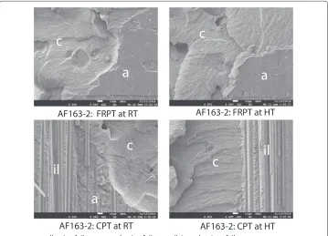Figure 9 SEM AF163-2.