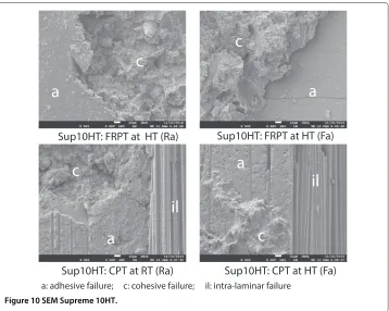 Figure 10 SEM Supreme 10HT.