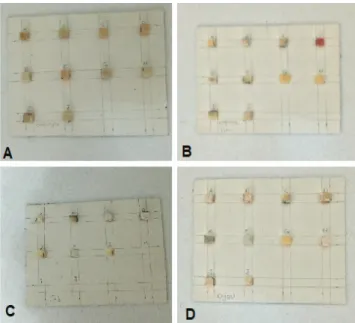 Fig. 2. Squares of the cardboard grid fi lled with the restorative materials