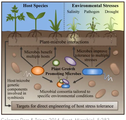 FIGURE 1 | Advantages of symbiont-based approaches to improvingColeman-Derr & Tringe 2014
