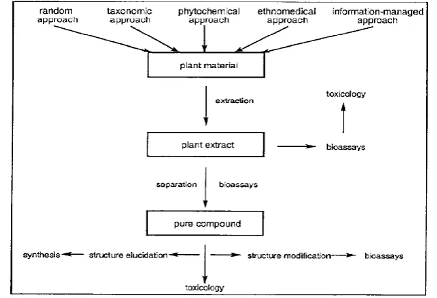 Fig. 1: General procedure for obtaining active principles from plants. 