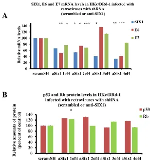 Figure 2.1 Loss of SIX1 in HKc/DR affects proliferation and HPV16- E6/E7 mRNA expression levels
