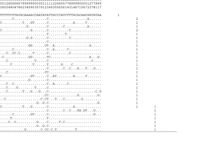 Table 1.6.  Mitochondrial DNA control region haplotypes of bluefin tuna (Thunnus thynnus) observed in this study