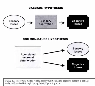 Figure 2.2. Theoretical models relating sensory functioning and cognitive capacity in old age