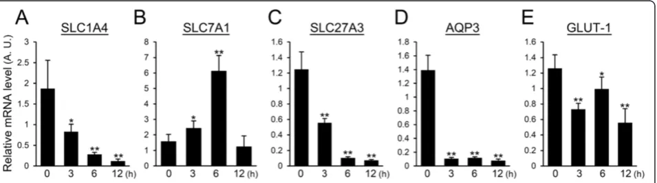 Figure 1 Influence of LPS on the gene expression of transport proteins and channel proteins required to supply raw materials for12 h after LPS injection were quantified by real-time PCR