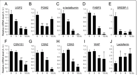 Figure 4 Influence of LPS on the expression of genes required for milk component trafficking.by real-time PCR