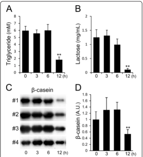 Figure 6 Influence of LPS on the amount of milk componentsreleased into mammary glands