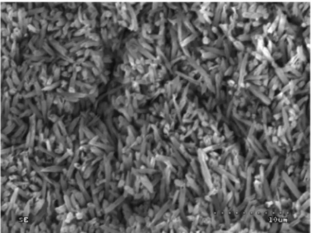 Fig. 1. SEM of lithium disilicate ceramic surface after  air-borne particle abrasion with 50 µm Al 2 O 3  and  etch-ing with 9% hydrofluoric acid for 20 s; mag. × 3000