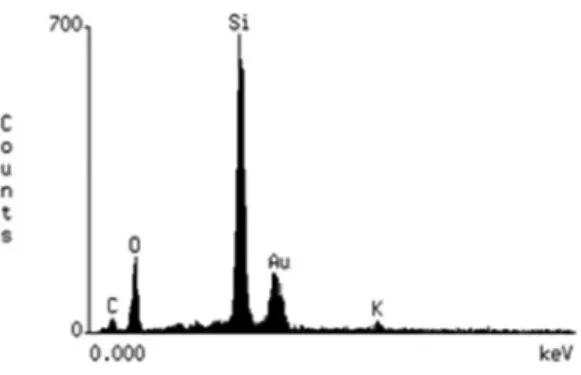 Fig. 7. Dispersive spectroscopic analysis of the ceramic  surface after air-borne particle abrasion with 50 µm  Al 2 O 3  and etching with 9% hydrofluoric acid for 20 s,  contamination with saliva and cleaning with 37%  phos-phoric acid for 60 s