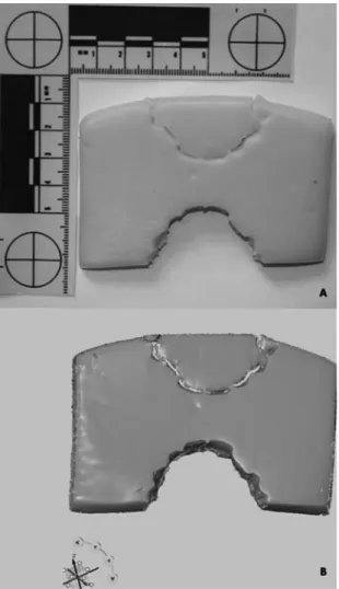 Fig. 2. The polygon mesh (3D model)  of bite marks on the apple – “bite-off” 