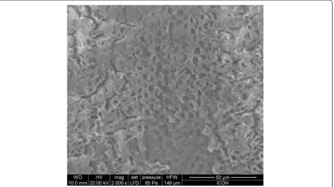 Figure 3 SEM observation of acid-etched enamel after pre-treatment with CPP-ACP with fluoride.