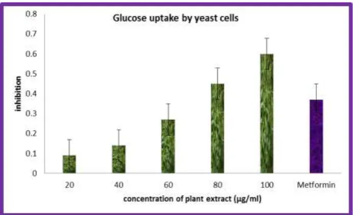 Figure 5: Effect of Glucose uptake by yeast cells on invitro anti-diabetic activity of ethanolic extract in Andrographis paniculata