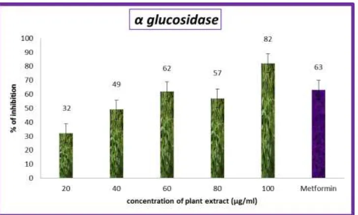 Figure 3: Effect of α-glucosidase on invitro anti-diabetic activity of ethanolic extract in Andrographis paniculata