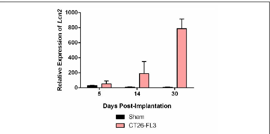 Figure 2.3: Circulating levels of Lcn2 in tumor progression. A) Lcn2 levels in serum increase during tumor progression in CT26 and CT26-FL3 bearing mice as compared to sham mice