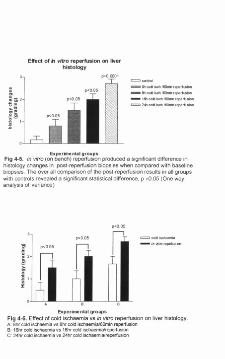 Fig 4-5. Experimental groupswith controls revealed a significant statistical difference, p <0.05 (One wayhistology changes in post-reperfusion biopsies when compared with baselinebiopsies