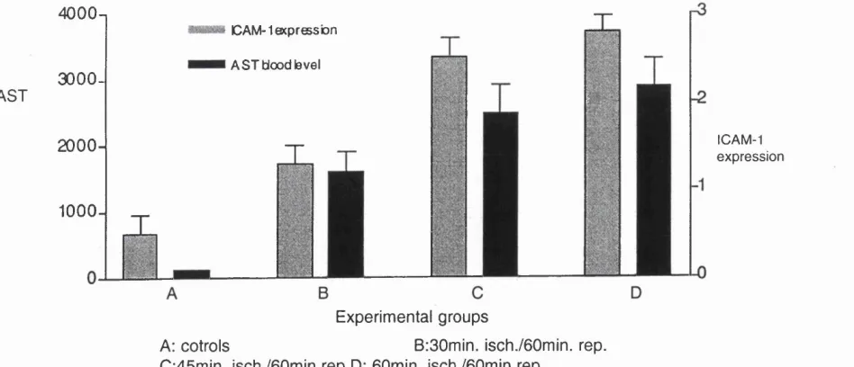 Fig 5-2. There is a significant correlation between increased ICAM-1 expression in post-reperfusion biopsy and elevated AST blood level