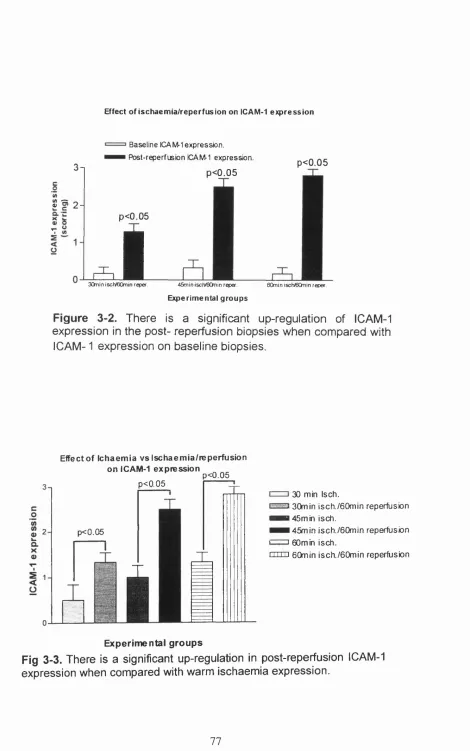 Fig 3-3. There is a significant up-regulation in post-reperfusion ICAM-1 expression when compared with warm ischaemia expression.