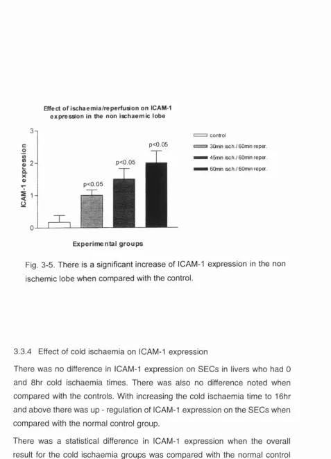 Fig. 3-5. There is a significant increase of ICAM-1 expression in the non 