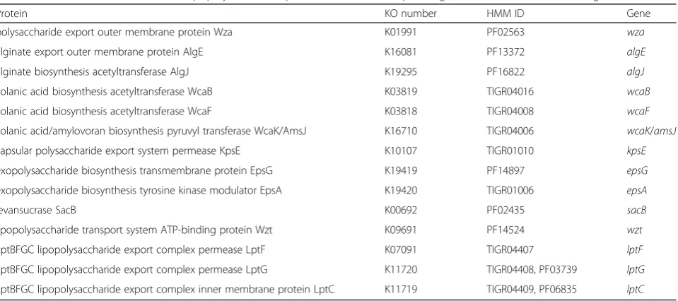 Table 1 Proteins related to exo- and lipopolysaccharide production with corresponding KO numbers, HMM IDs and genes