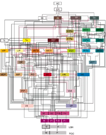 Figure 5.3: van Essen wiring diagram of the primate visual pathways