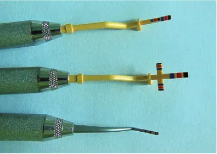 Fig. 3. Chu’s Aesthetic Gauges for  estimating the proportion of clinical  crowns of teeth, bone and adjacent soft  tissues (from the collection of the  indi-vidual dental practice R