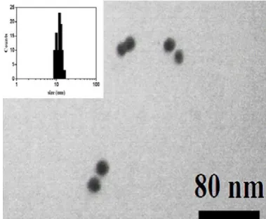 Fig. 3. TEM image of gold nanoparticles which synthesized by ‘inversed Turkevich’ method at Fig.2