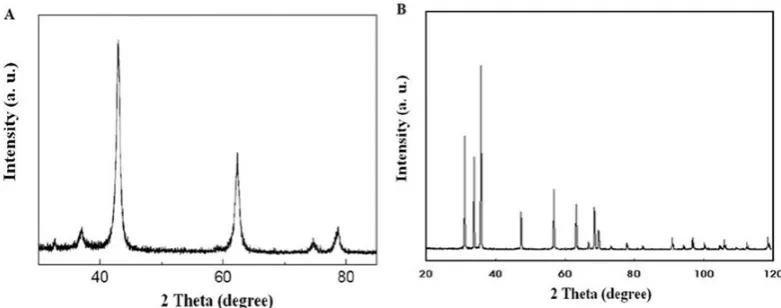 Fig.1. XRD patterns of MgO NPs (A) and ZnO NPs (B). Fig. 1. XRD patterns of MgO NPs (A) and ZnO NPs (B).