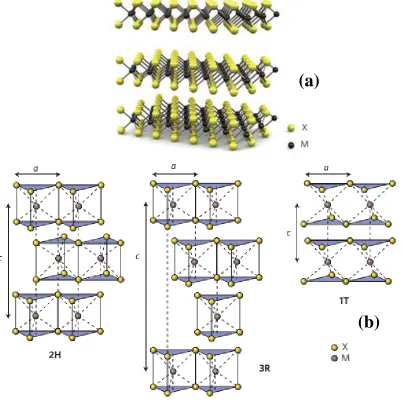 Figure 1.1: (a) Three-dimensional schematic representation of a typical MX2 structure, with the chalcogen atoms (X) in yellow and the metal atoms (M) in grey.[18] (b) Schematics of the structural polytypes: 2H (hexagonal symmetry), 3R (rhombohedral symmetry, trigonal prismatic coordination) and 1T (tetragonal symmetry, octahedral coordination).[19] 