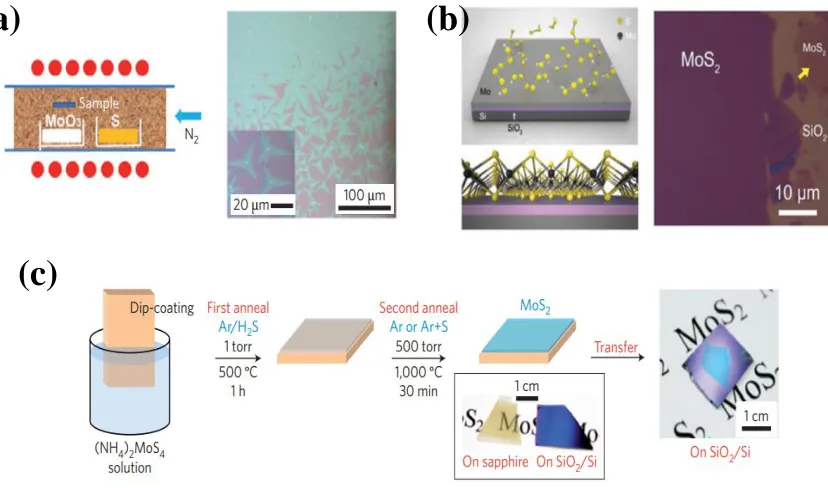 Figure 1.2: (a) Schematic of CVD of MoS2 from solid S and MoO3 precursors (left) and resulting MoS2 films on SiO2 (right)[54]