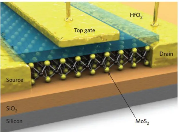 Figure 1.4: Schematic illustration of HfO2-top-gated monolayer MoS2 FET device [38]. 