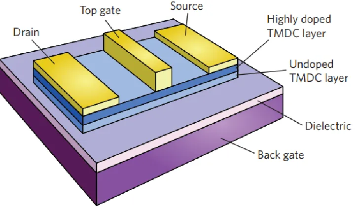 Figure 1.9: Proposed TMDC-based high-electron-mobility transistor (HEMT) device with top-gated Schottky contact and TMDC layers with different doping levels[20]