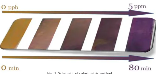 Fig. 1. Schematic of colorimetric method