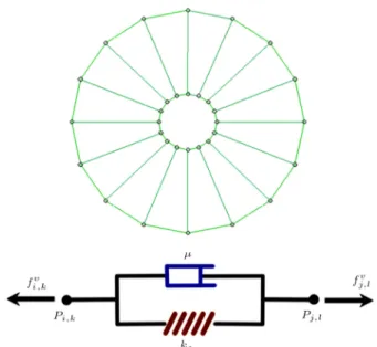 Figure 1. Basic discretized elements of a cell (up) by Voigt units (down). Each element of the discretized cell that connects two nodes consists of a spring and a damper in parallel.