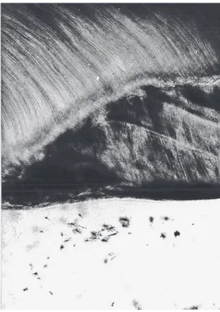 Fig. 3. scanning electron image of the lateral surfaces  of dental crown of the tooth