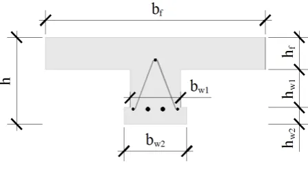 Figure 3: Concrete T cross section. 