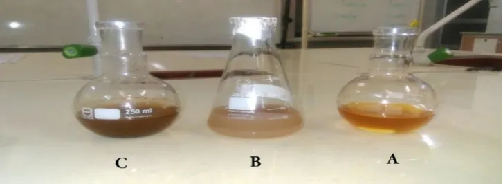 Fig. 2. (A) The crude extract of Avena sativa L. at 90°C  for 24 h (B) with AgNo3 at room temperature for 24h (C) and with AgNo3  at 90°C  for 24h