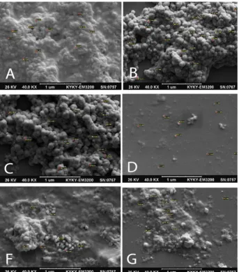 Fig. 6. 1 mM hydro-alcoholic extract at 90°C (A). 2 mM hydro-alcoholic extract at 90°C (B)