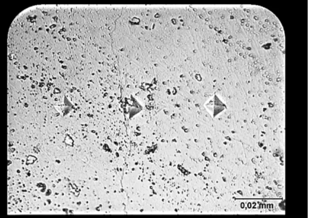 Fig. 2. Indentations resulting from the contact of ena−