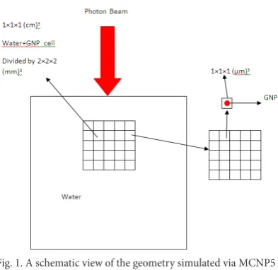 Fig. 1. A schematic view of the geometry simulated via MCNP5 code
