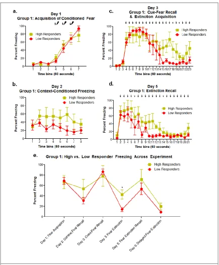 Figure 3.1: Group 1- Grouped Differences in Freezing Behavior During Fear and Extinction Paradigm